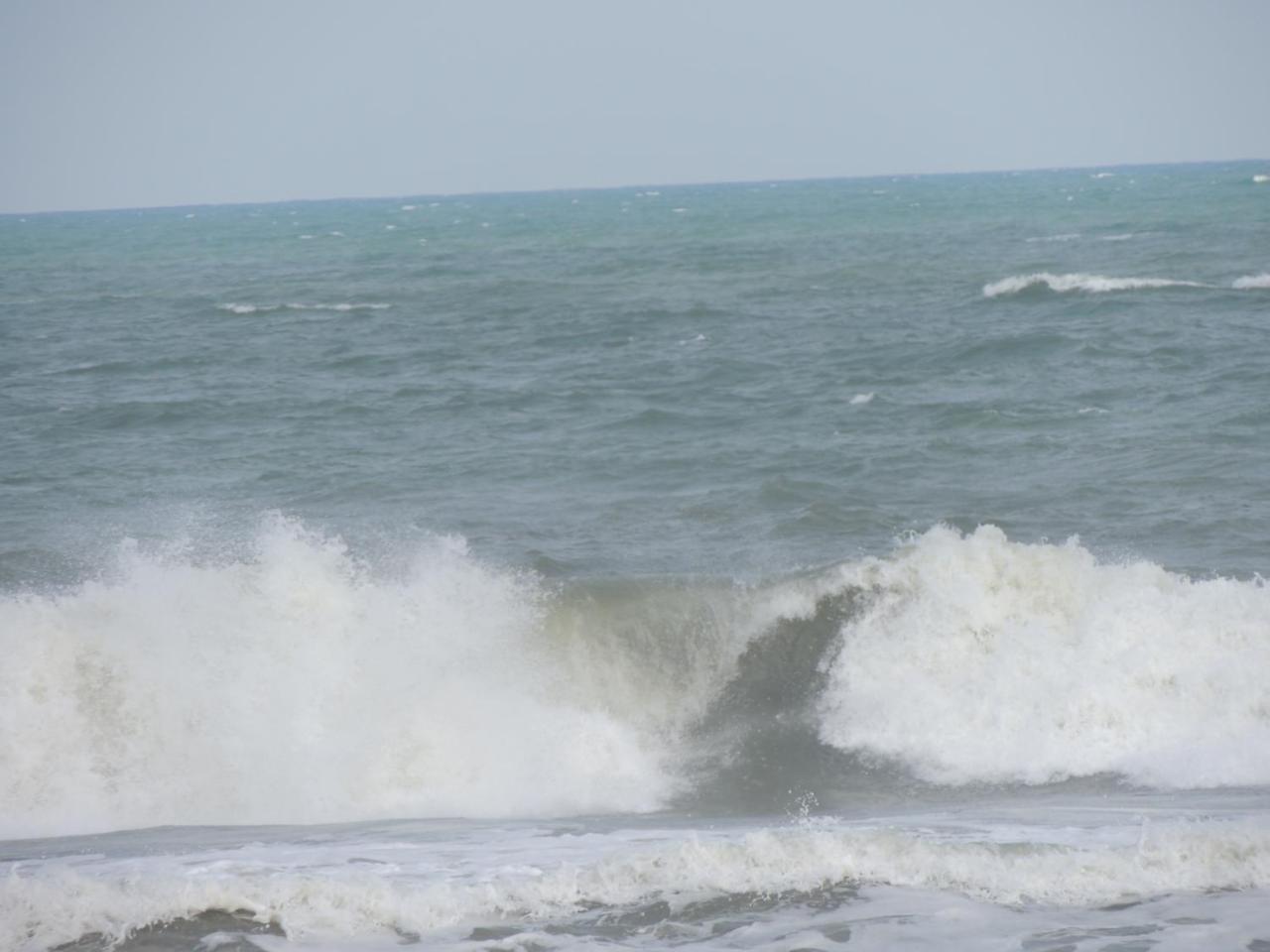 Resort Grand Oceana Beach *